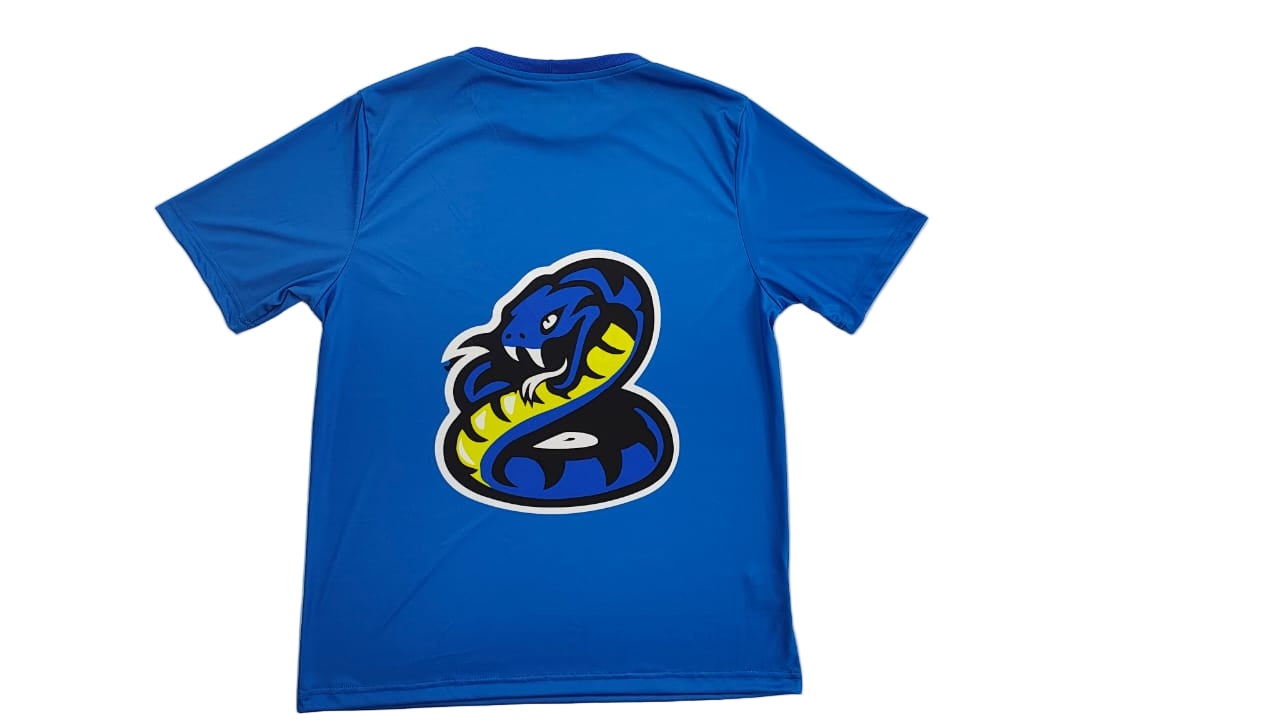 Camisa de Passeio Masculino – Inter Academy Brazil ( ROYAL)