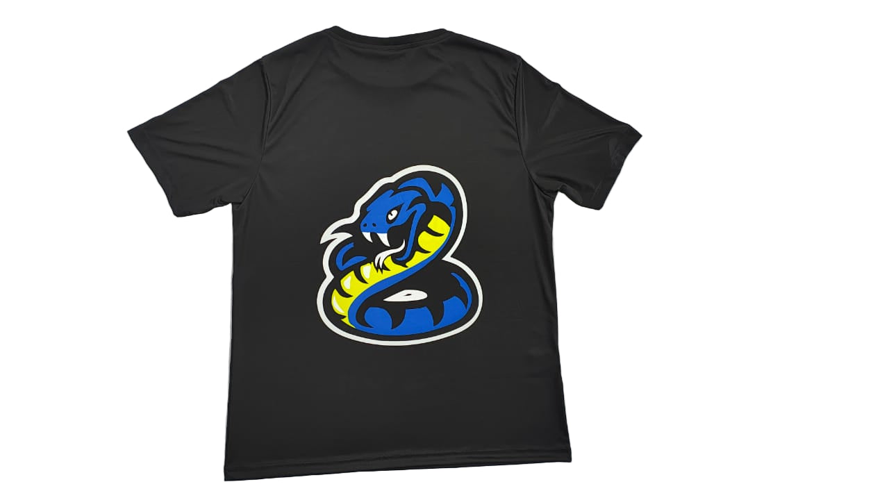 Camisa de Passeio Masculino – Inter Academy Brazil ( PRETO )